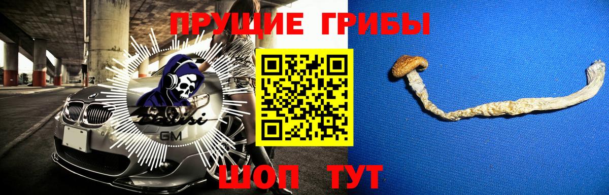 Галлюциногенные грибы Cubensis  Галлюциногенные грибы Psilocybine cubensis  что такое   Вход с VPN  Шали 